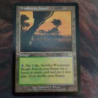 吹きさらしの荒野　英　ONS