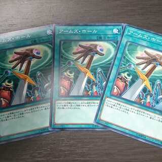 アームズ・ホール ノーマル 3枚セット