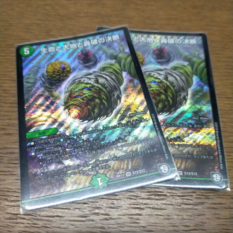 生命と大地と轟破の決断