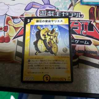 鎮圧の使徒サリエス