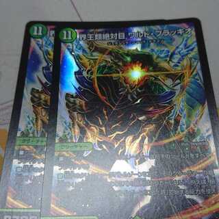 界王類絶対目 ワルド・ブラッキオ