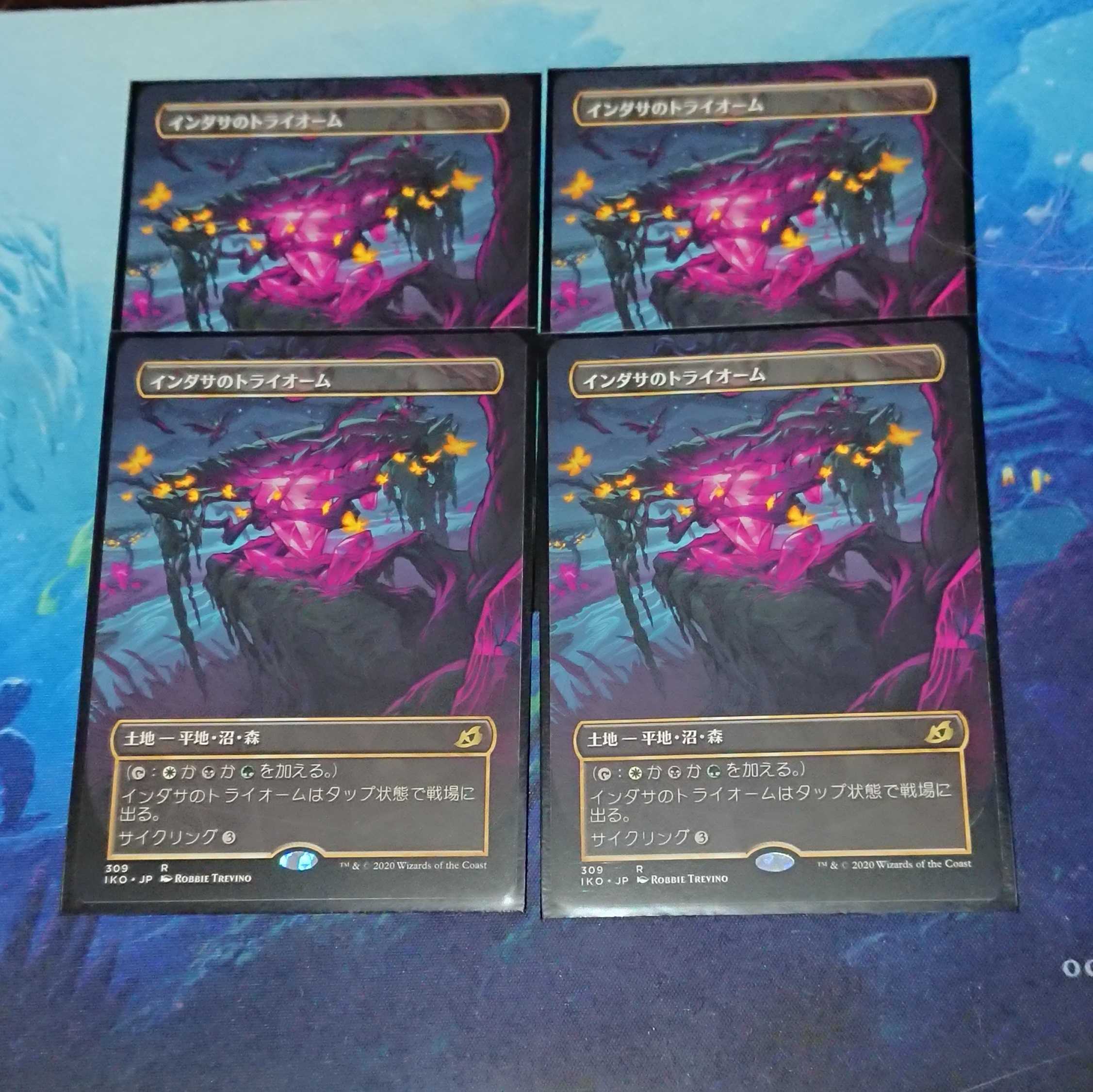 ユウヤ様専用 インダサのトライオーム(日)2枚