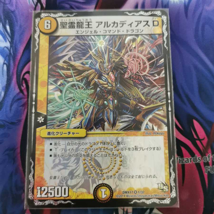 聖霊龍王 アルカディアスD