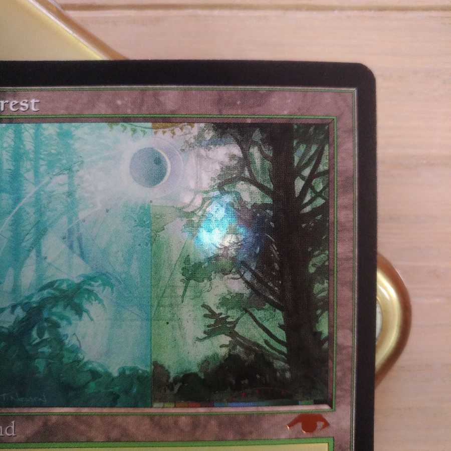 MTG グルランド Guru Land 森