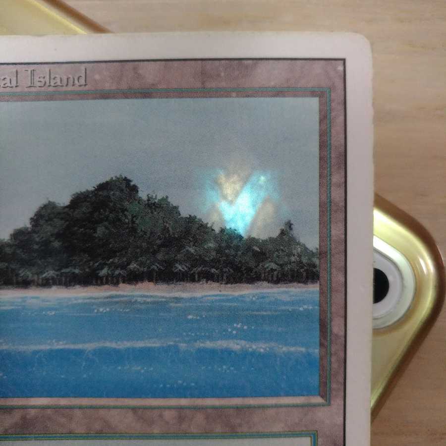 MTG Tropical Island