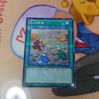 化石調査 パラレル ノーマル