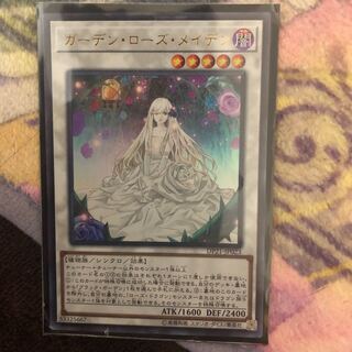 ガーデン・ローズ・メイデン