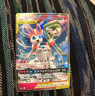 サーナイト&ニンフィア