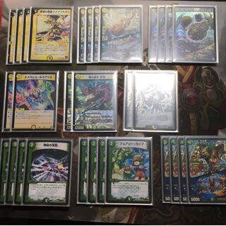 パーフェクトネイチャーハイオリーダファイブスターハイオリーダ 1枚の