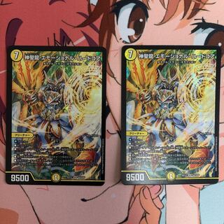 神聖龍 エモーショナル・ハードコア