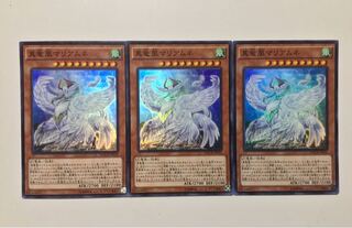 真竜鳳マリアムネ 1枚