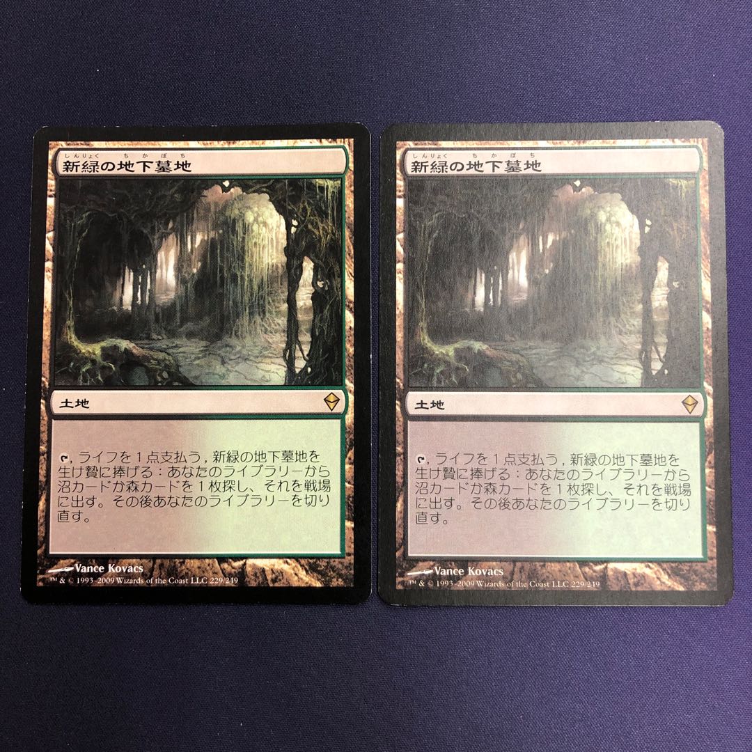 新緑の地下墓地 2枚