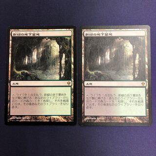 新緑の地下墓地 2枚