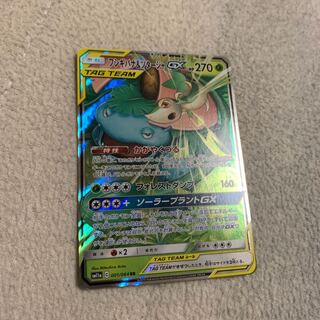 フシギバナ&ツタージャGX RR