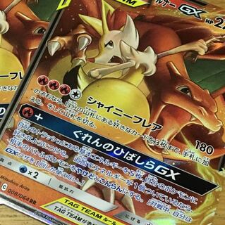 ラズベリー様専用 リザテル 1枚