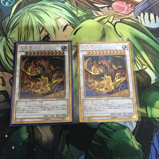 複数購入☆割有　星態龍GR