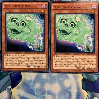 【N】チューニングガム 2枚 TDIL-JP040