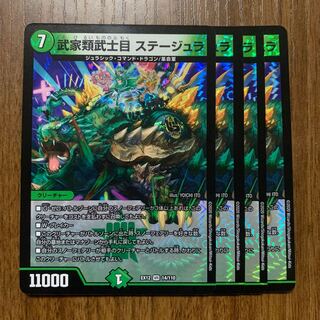 武家類武士目 ステージュラ