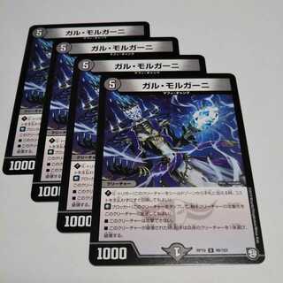 ガルモルガーニ４枚