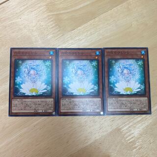 六花のひとひら ノーマル