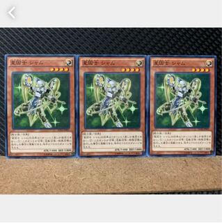 【ぽぽたん】遊戯王 1611 星因士 シャム 3枚 ノーマル