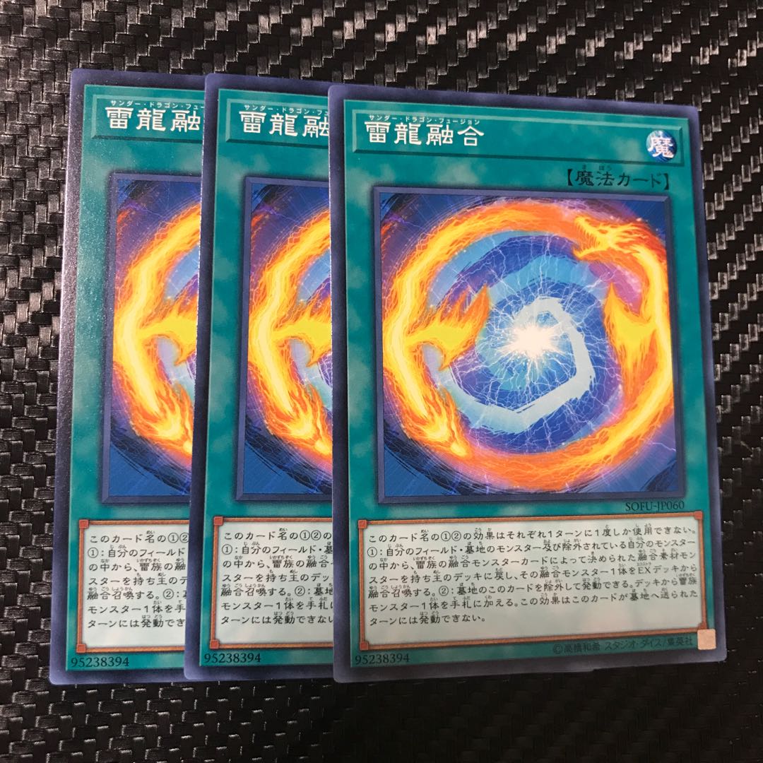 雷龍融合 ノーマル