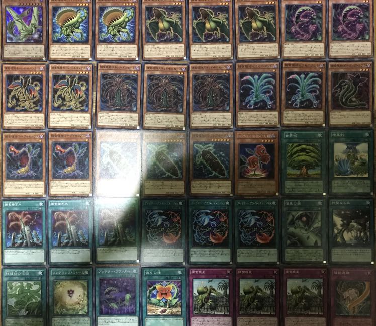 超特価　捕食植物デッキ　40枚＋EX10枚　構築済み