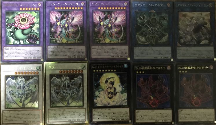 超特価　捕食植物デッキ　40枚＋EX10枚　構築済み