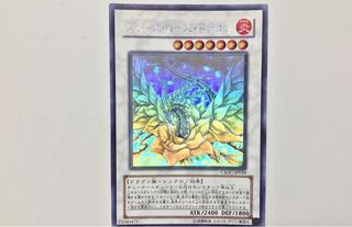 ブラックローズドラゴン ホロ 1枚