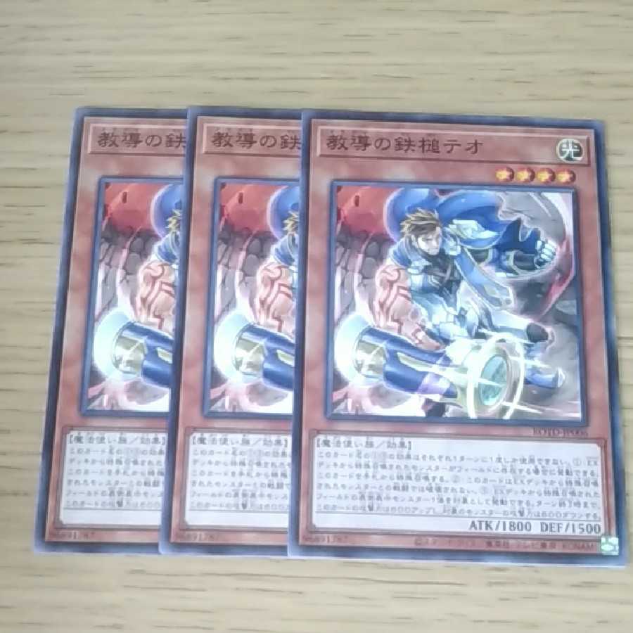 教導の鉄槌テオ