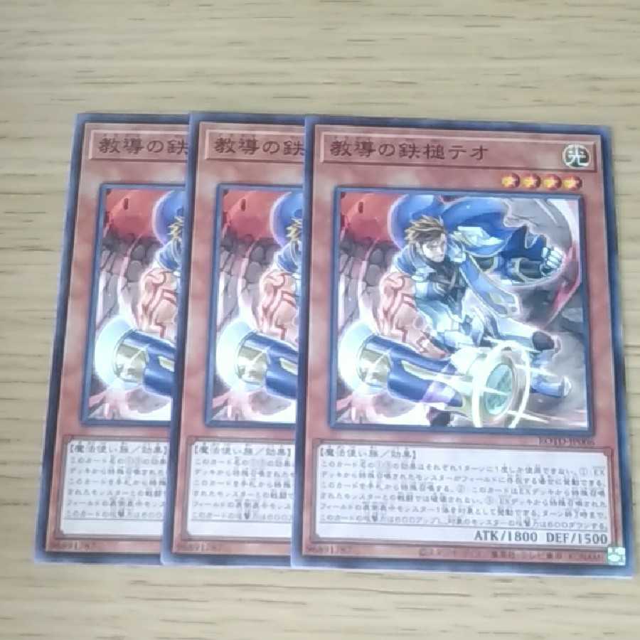 教導の鉄槌テオ