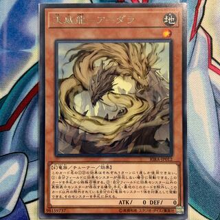 【R】天威龍-アーダラ 1枚 RIRA-JP012