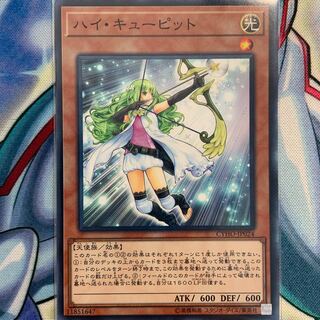【N】ハイ・キューピット 1枚 CYHO-JP024