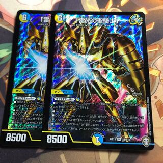 「雷光の聖騎士」