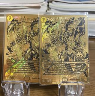 煌龍 サッヴァーク