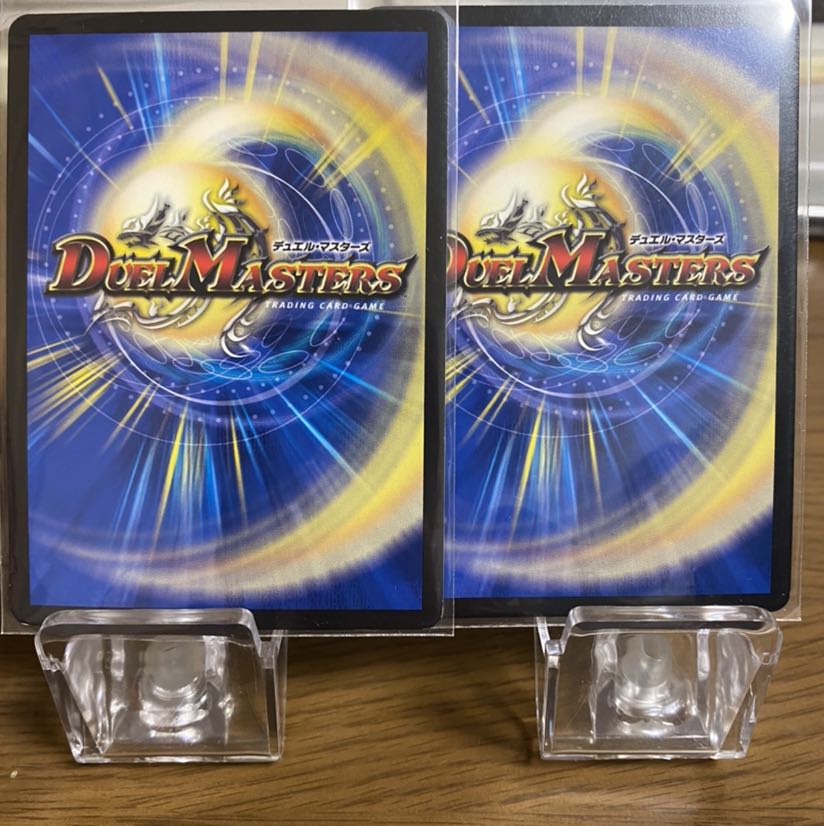 煌龍 サッヴァーク