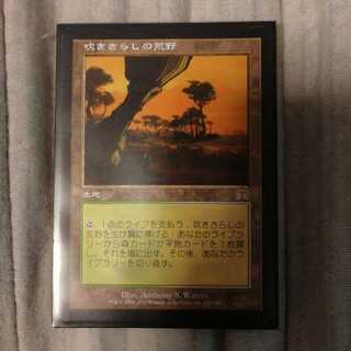 吹きさらしの荒野