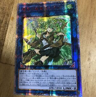 【メガトンボ様専用】蒼翠の風霊使いウィン 20th アジア