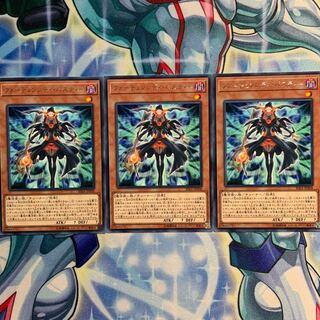 【R】フォーチュンレディ・パスティー 3枚 RIRA-JP008