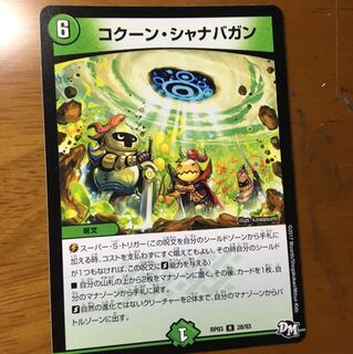 コクーンシャナバガン