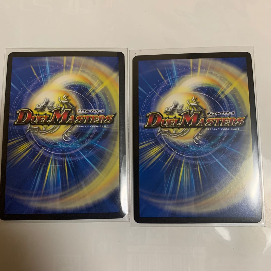 龍世界 -龍の降臨する地- 2枚