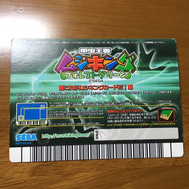 giant stag beetle (Dorcus hopei)