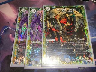 サッヴァークDG