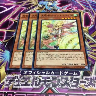 真竜導士マジェスティM【N】