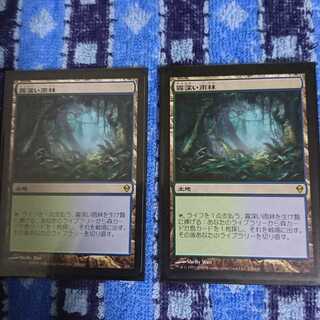 霧深い雨林２枚