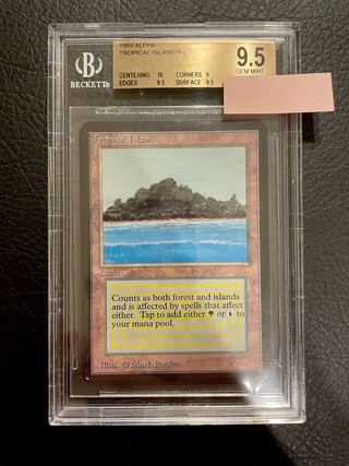 【BGS9.5 Gold】Tropical Island (LEA)