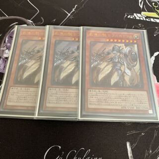 教導の騎士フルルドリス ウルトラレア