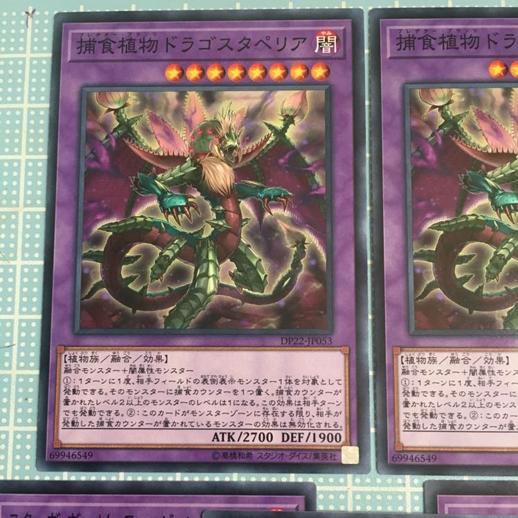 スターヴ・ヴェノム・フュージョン・ドラゴン&捕食植物ドラゴスタペリア