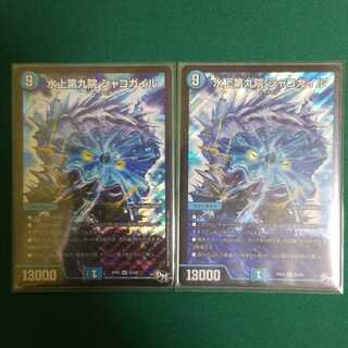 水上第九院 シャコガイル