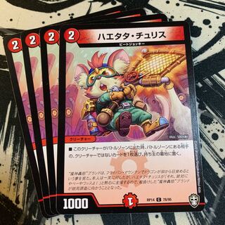 ハエタタ・チュリス